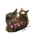 になはるちび Part3（個別スタンプ：5）