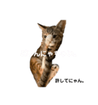 になはるちび Part3（個別スタンプ：7）
