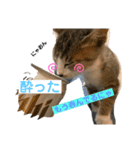 になはるちび Part3（個別スタンプ：8）