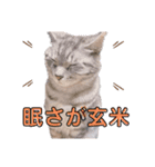 になはるちび Part2（個別スタンプ：3）