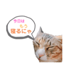 になはるちび Part2（個別スタンプ：6）