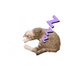 になはるちび Part2（個別スタンプ：8）