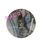 になはるちび Part1（個別スタンプ：8）
