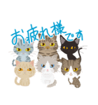 Mau★ねこスタンプ(ビジネスVer.)（個別スタンプ：1）