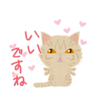 Mau★ねこスタンプ(ビジネスVer.)（個別スタンプ：13）