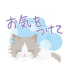 Mau★ねこスタンプ(ビジネスVer.)（個別スタンプ：17）