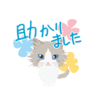 Mau★ねこスタンプ(ビジネスVer.)（個別スタンプ：19）