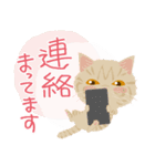 Mau★ねこスタンプ(ビジネスVer.)（個別スタンプ：20）