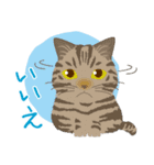 Mau★ねこスタンプ(ビジネスVer.)（個別スタンプ：23）