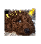 はな＆のあスタンプ（個別スタンプ：4）