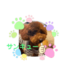 はな＆のあスタンプ（個別スタンプ：5）