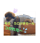 はな＆のあスタンプ（個別スタンプ：7）