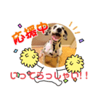 はな＆のあスタンプ（個別スタンプ：16）