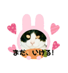 私の愛猫ミキスケくん（個別スタンプ：13）
