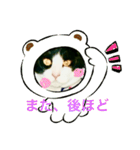 私の愛猫ミキスケくん（個別スタンプ：27）