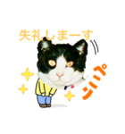 私の愛猫ミキスケくん（個別スタンプ：28）