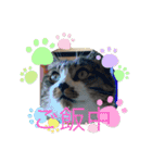 ねこ様挨拶編たがわ（個別スタンプ：6）