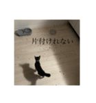 しらすがしゃべる2（個別スタンプ：13）