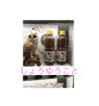 ⚓︎うどん屋⚓︎海侍⚓︎（個別スタンプ：8）