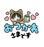 いろいろ使える、日常ネコちょこスタンプ2（個別スタンプ：1）