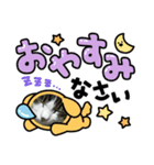 いろいろ使える、日常ネコちょこスタンプ2（個別スタンプ：2）