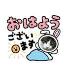 いろいろ使える、日常ネコちょこスタンプ2（個別スタンプ：3）