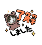 いろいろ使える、日常ネコちょこスタンプ2（個別スタンプ：4）