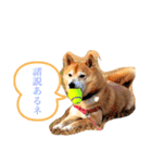 平蔵のコメント（個別スタンプ：1）