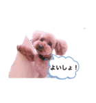 といぷーどるの日常生活（個別スタンプ：9）