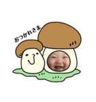 ひなひなちゃんスタンプ2（個別スタンプ：1）