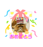 生きてるだけで偉いペルシャ猫 ぽんず（個別スタンプ：26）