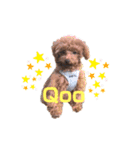 Qooちゃんです❤︎（個別スタンプ：1）