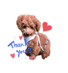 Qooちゃんです❤︎（個別スタンプ：2）