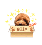 Qooちゃんです❤︎（個別スタンプ：3）