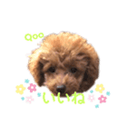 Qooちゃんです❤︎（個別スタンプ：4）