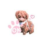 Qooちゃんです❤︎（個別スタンプ：11）