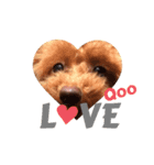 Qooちゃんです❤︎（個別スタンプ：15）