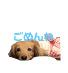 ♡♡ここちゃん♡♡（個別スタンプ：4）
