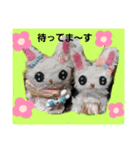 うささちゃんスタンプ2（個別スタンプ：2）