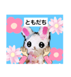 うささちゃんスタンプ2（個別スタンプ：7）