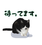 僕、にゃん太！（個別スタンプ：18）