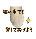 僕、にゃん太！（個別スタンプ：28）