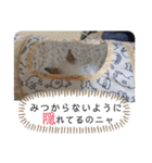 こゆたんスタンプ2（個別スタンプ：7）