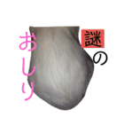 こゆたんスタンプ2（個別スタンプ：19）