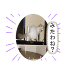 こゆたんスタンプ2（個別スタンプ：21）