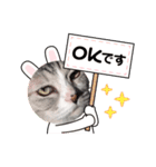 ぺぺさんの顔ハメ（個別スタンプ：2）