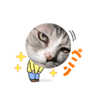 ぺぺさんの顔ハメ（個別スタンプ：3）