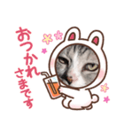 ぺぺさんの顔ハメ（個別スタンプ：8）