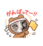 ぺぺさんの顔ハメ（個別スタンプ：14）