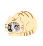 ぺぺさんの顔ハメ（個別スタンプ：16）